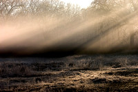 Early Light