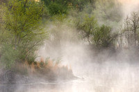 Mist Green